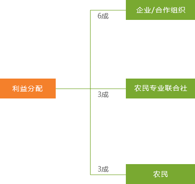 利益分配图表