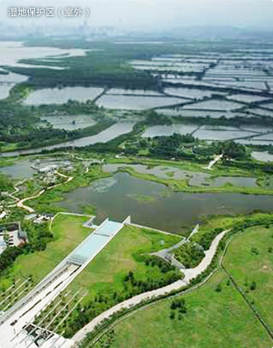 湿地保护区（室外）