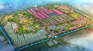 江苏省阜宁县北郊生态园概念性规划及核心区修建性详细规划